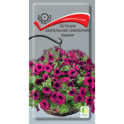 ����  ������� ��������� �������� ��������, ������ �� 137 ���