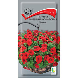 ����  ������� ��������� �������� �������, ������ �� 137 ���