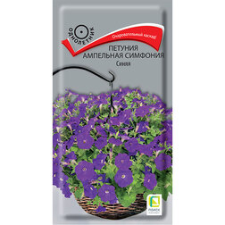 ����  ������� ��������� �������� �����, ������ �� 137 ���