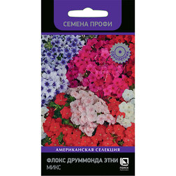 ����  ����� ��������� ���� ���� (������ �����), ������ �� 79 ���