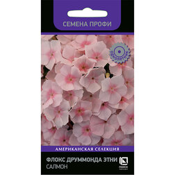 ����  ����� ��������� ���� ������ (������ �����), ������ �� 79 ���