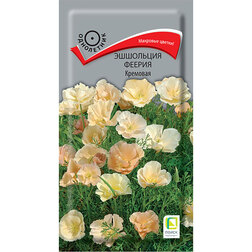 ����  ��������� ������ ��������, ������ �� 35 ���