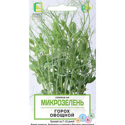 ����  ����� ������� (�����������), ������ �� 33 ���