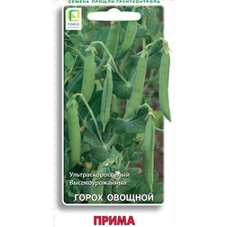 ����  ����� ������� �����, ������ �� 29 ���