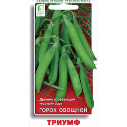 ����  ����� ������� ������, ������ �� 29 ���