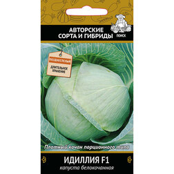 ����  ������� ������������ ������� F1, ������ �� 40 ���