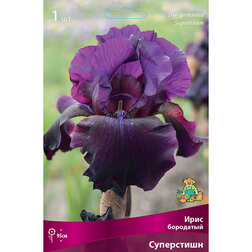 ����  ���� ��������� ����������, ������ �� 455 ���