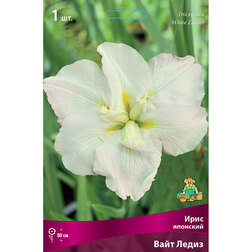 ����  ���� �������� ���� �����, ������ �� 467 ���