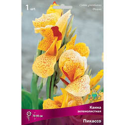 ����  ����� ������������� �������, ������ �� 314 ���