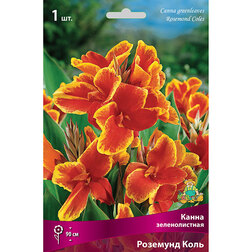 ����  ����� ������������� �������� ����, ������ �� 314 ���