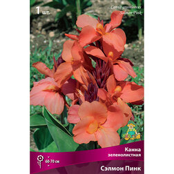 ����  ����� ������������� ������ ����, ������ �� 314 ���