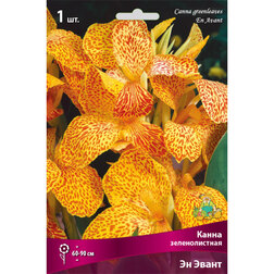 ����  ����� ������������� �� �����, ������ �� 314 ���