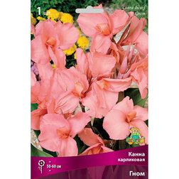 ����  ����� ���������� ����, ������ �� 326 ���