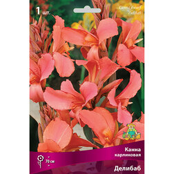 ����  ����� ���������� �������, ������ �� 326 ���