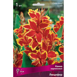 ����  ����� ���������� �������, ������ �� 326 ���