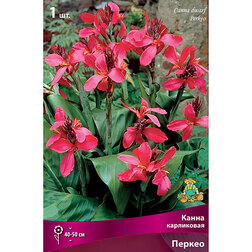 ����  ����� ���������� ������, ������ �� 326 ���