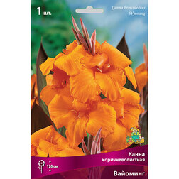 ����  ����� ���������������� ��������, ������ �� 348 ���