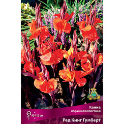 ����  ����� ���������������� ��� ���� �������, ������ �� 348 ���