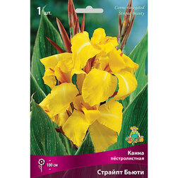 ����  ����� ������������� ������� �����, ������ �� 416 ���