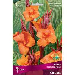 ����  ����� ������������� �������, ������ �� 416 ���