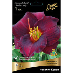 ����  �������� ��������� ������� �����, ������ �� 572 ���