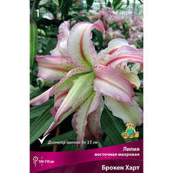 ����  ����� ��������� �������� ������ ���� (1 ��.), ������ �� 328 ���