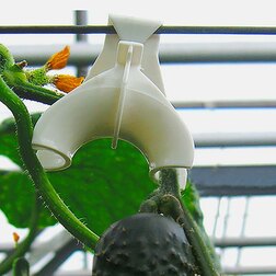 ����  ���� ��� ������ �������� 5 ��., ������ �� 164 ���