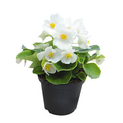 ����  ������� ������������� ������������� ����� ��� ���� (1��-1000�����) ���������������� ������, ������ �� 1760 ���