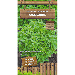 ����  ������� ������� ��������� (������������ ������), ������ �� 38 ���