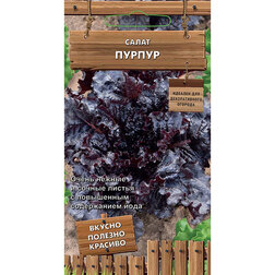 ����  ����� ������ (������������ ������), ������ �� 38 ���