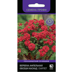 ����  ������� ��������� ������ ������ ������� (������ �����), ������ �� 323 ���