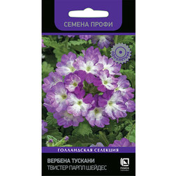 ����  ������� ������� ������� ����� ������ (������ �����), ������ �� 113 ���