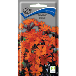 ����  ������ ������, ������ �� 32 ���