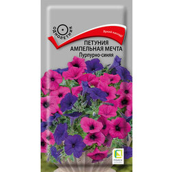 ����  ������� ��������� ����� ��������-�����, ������ �� 261 ���