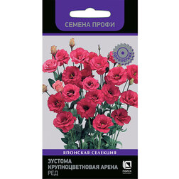 ����  ������� ��������������� ����� ��� (������ �����), ������ �� 136 ���