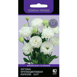 ����  ������� ��������������� ������� ���� (������ �����), ������ �� 144 ���