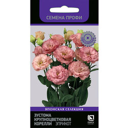 ����  ������� ��������������� ������� ������� (������ �����), ������ �� 144 ���