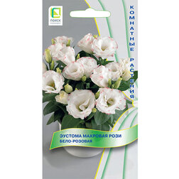 ����  ������� �������� ���� ����-�������, ������ �� 126 ���