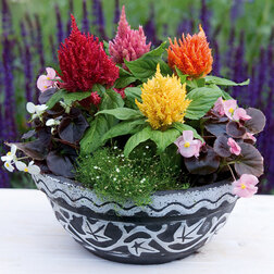 ����  ������� �������� ������� ���� (1��-100��) ���������������� ������, ������ �� 240 ���