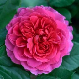 ����  ���� �������� ���������� �������� ���, ������ �� 759 ���