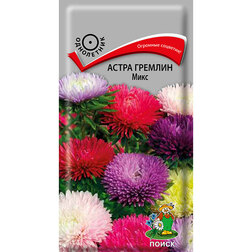 ����  ����� ������� ����, ������ �� 26 ���