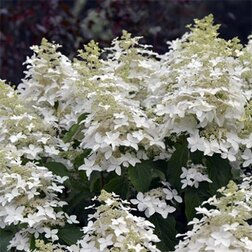 ����  ��������� ����������� ���� �� ����, ������ �� 612 ���