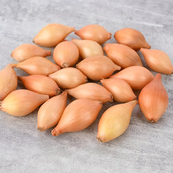 ����  ���-����� ������ (��-1��), ������ �� 399 ���