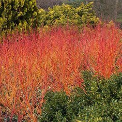 ����  ����� ������� ���� ������ ������, ������ �� 671 ���