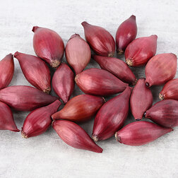 ����  ���-����� ������ (��-1��), ������ �� 490 ���