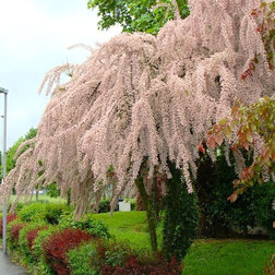 ����  �������� ����������������� ���������, ������ �� 365 ���