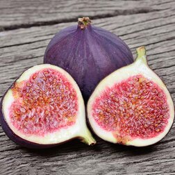 ����  ����� ��� ������� (�����������), ������ �� 659 ���