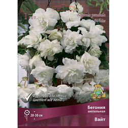 ����  ������� ��������� ���� (1 ��.), ������ �� 226 ���