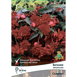 ����  ������� ��������� ������� (1 ��.), ������ �� 226 ���