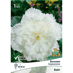 ����  ������� ����������� ���� (1 ��.), ������ �� 207 ���